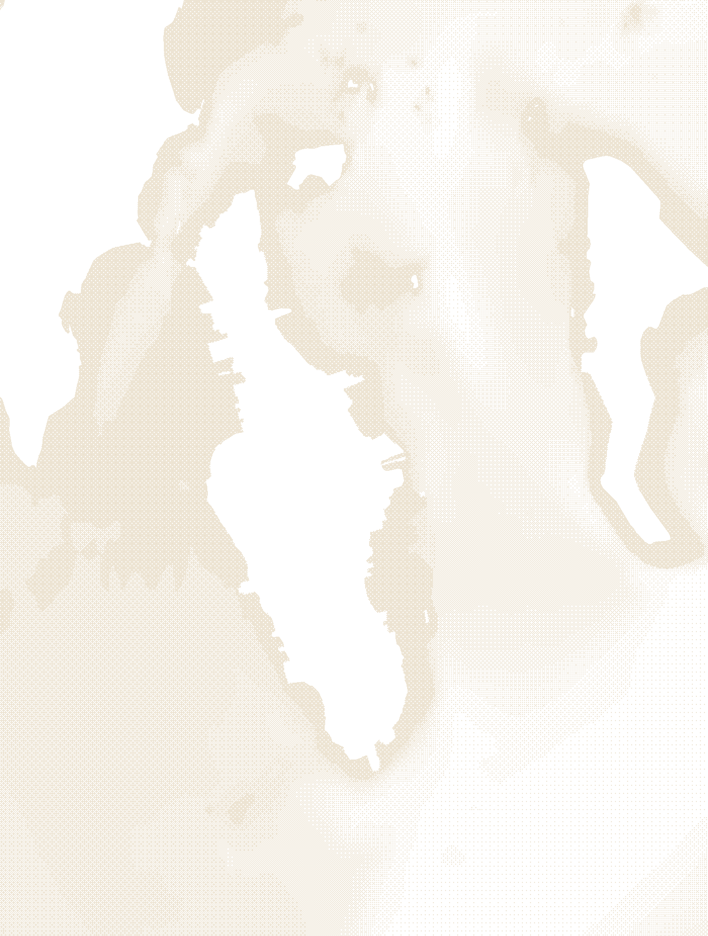 Depth chart of City Island, the Bronx, rendered as a halftone plate from NOAA electronic navigational chart data.
